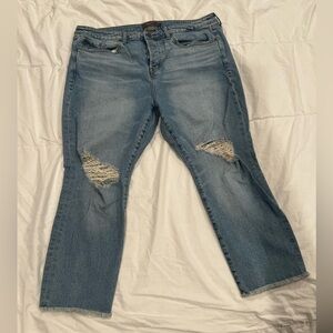 Torrid jeans high rise straight classic denim, sz 16S